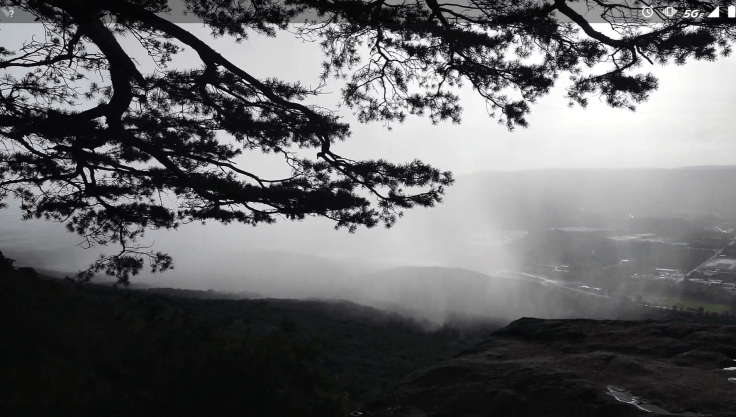 From Abolishing Religion to Adopting Them&nbsp;All