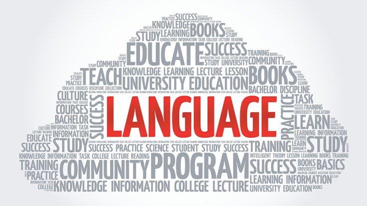 Language and Intuition